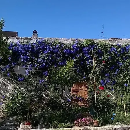 Casa vacanze Traditional House Zia Dina *